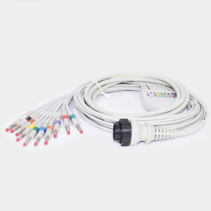 Señales biomédicas