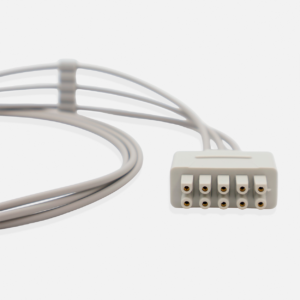 Señales biomédicas