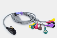 Cable Holter 10 derivaciones AHA – Ref. SG1185S