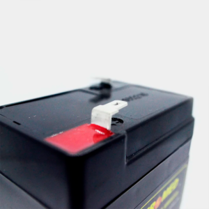 Señales biomédicas