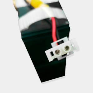 Señales biomédicas