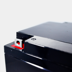 Señales biomédicas