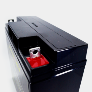 Señales biomédicas